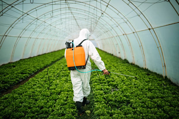 Reliable Ore City, TX Pest Control Solutions