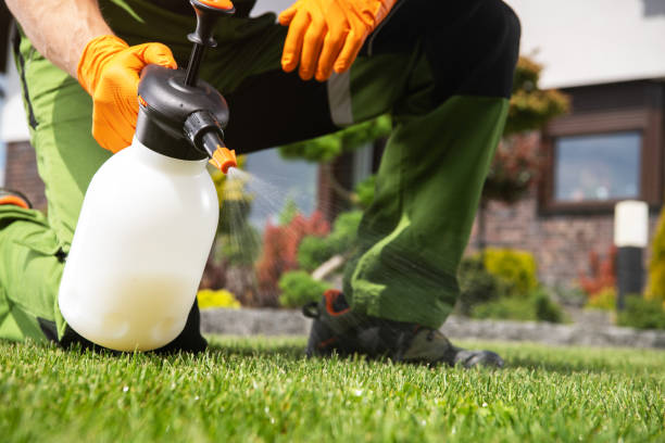 Best Mosquito Control Services  in Ore City, TX