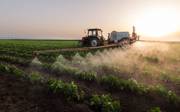 Insect Control in Ore City, TX