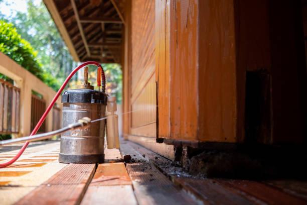 Best Pest Control for Homes  in Ore City, TX