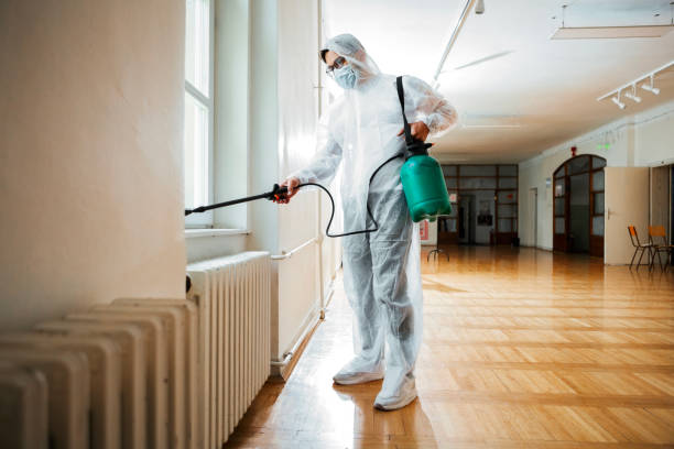 Wasp Removal Services in Ore City, TX