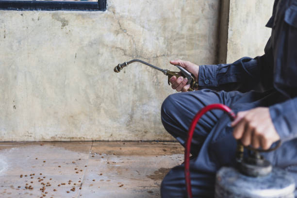 Best Exterminator Services  in Ore City, TX